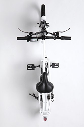 Biwik Mod. Book, 20 Zoll Elektrofahrrad,E-Faltrad,E-Bike,Pedelec,Klapprad,36V 250W Motor, 36V Li-Ion Akku mit 8Ah,weiß,schwarz (weiß) - 5