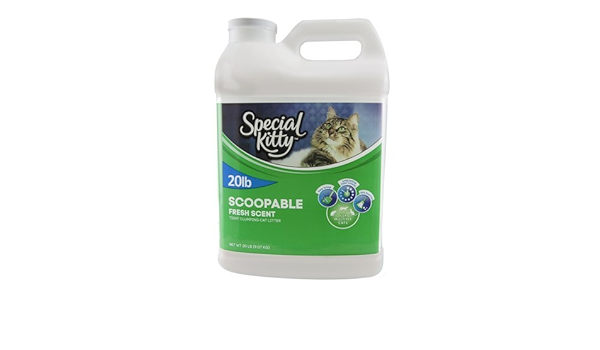 special kitty odor control