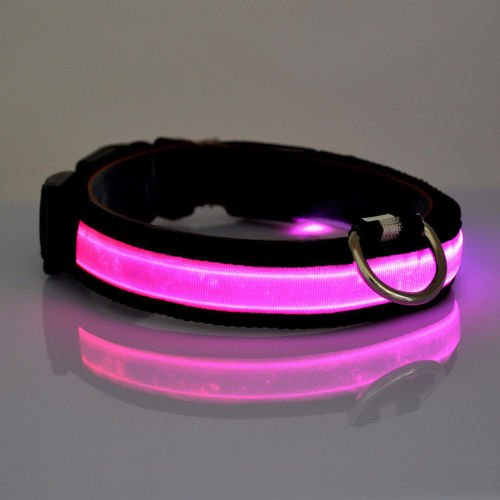 DOG-COLLAR-pet-LED-light-up-flashing-luminous-night-safety-coloured-bright-VARIOUS-COLOURS-AVAILBLE-UK-SELLER