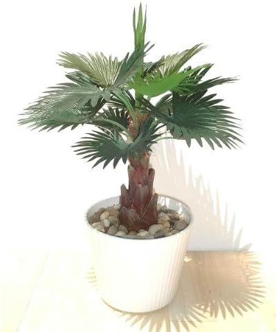 13" Fan Palm, Artificial Plant (Without Pot)