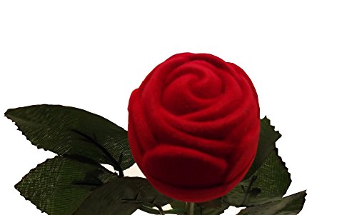 „Lass Blumen sprechen“ – Rose als Ringdose, perfekt für Ihren Antrag - 5