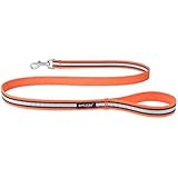 [Gesponsert]amiplay Reflektierende Hundeleine 