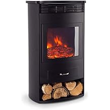 Suchergebnis auf Amazon.de für: elektrokamin