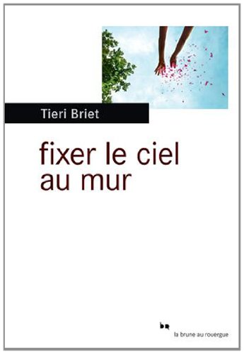 couverture de : Fixer le ciel au mur