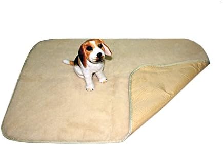 DZL Blanket with Fur Warm and Soft, The Background Waterproof 101 * 69 cm