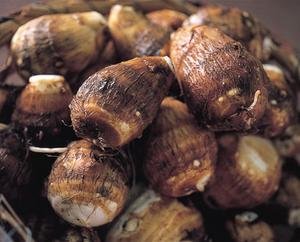 有機栽培　上庄の里芋2kg