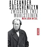 Zwischen zwei Mühlsteinen: Mein Leben im Exil