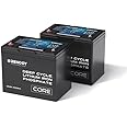 Renogy 12V 100Ah LiFePO4 Battery with 5000+ Deep Cycles, 12V Lithium Battery with BMS Protection & IP65, Backup Power for Van Caravan Campervan Motorhome Cabin Marine, Support Series/Parallel, 2 PCS