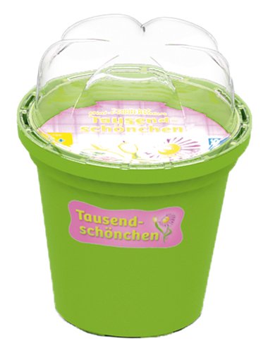 Preisvergleich Produktbild Kosmos 631000 - Mini-Gewchshaus Tausendschnchen