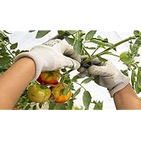 Amazon.es: Soportes para plantas: Jardín