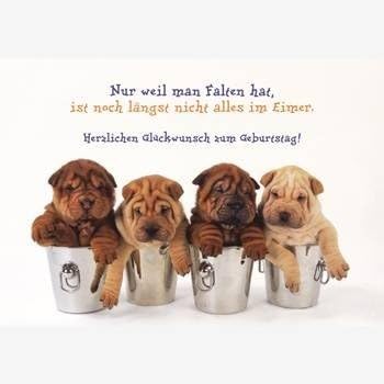 Geburtstagskarten Hunde Motive