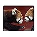 Produktbild Lesser Panda Gaming Mouse Pad Custom Design Non-Slip Rubber Mouse Mat for Desk,Laptop