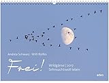 Image de Frei! Wildgänse 2017 - Wandkalender *: Sehnsuchtsvoll leben