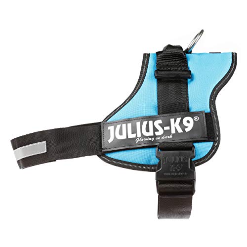 Julius K9 162AM-3 K9-Powerharness, Size 3 Aquamarine, L, Agua Marina