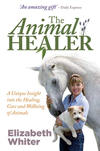 The Animal Healer (English Edition)