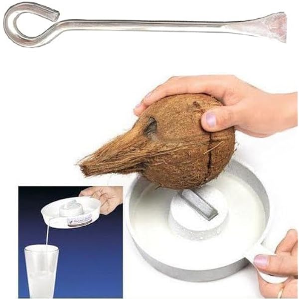 Buy pass pass Stainless Steel Coconut Opener | Easy & Safe Coconut Cutter  Tool | Durable Kitchen Gadget for Fresh Coconut Water & Coconut Meat | Pack  of 2 Online at Low