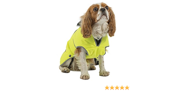 muddy paws stormguard