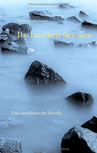 Das havarierte Gewissen: Eine norddeutsche Novelle