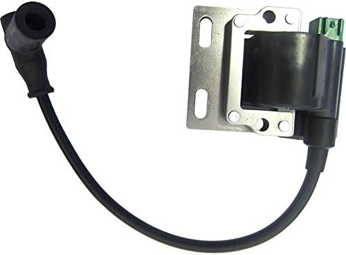 Kart Rotax Max Genuine 125cc Ignition Coil &amp; Plug MSA Legal