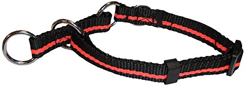 Agrobiothers Collar S/Extrangl Eduction, Negro/Oro. ConECK'T S 28-36 cm