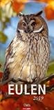 weingarten eulen kalender 2019 Vom großen Uhu bis zum winzigen Steinkauz zeigt der Kalender verschiedenste Arten der beliebten Greifvögel auf Schwarz, der Farbe der Nacht. Zu sehen sind Schneeeule, Fleckenuhu, Sägekauz, Schleiereule, Sperbereule, Sunda-Fischuhu, Steinkauz, Waldkauz, Waldohreule und Virginia-Uhu.