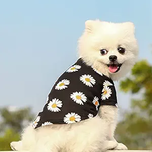 PNB Sunflower Print Shirt for Dogs/Cats (M, Black)