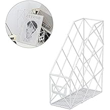 Suchergebnis auf Amazon.de für: zeitungen aufbewahrung