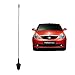 Autofy Premium Quality AM/FM Car Antenna for Tata Indica Vista (Black) RS.179.00