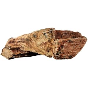 3 Kg versteinertes Holz 15-30cm, Dekoration für Aquarien und Terrarium