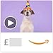 Woofy Birthday (Animated) - Amazon.co.uk eGift Voucher