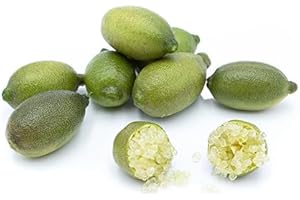 Caviar Cítrico 200 g, La Parcela, Origen España, Andalucía (Costa Tropical), Comprar Caviar Cítrico Fresco, De La Huerta A Tu Casa, Producto de Cooperativa Granada La Palma