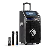 KLANGSTARK: Mobile PA-Anlage auna DisGo Box 100 DVD verfügt über 300 Watt max. Leistung.