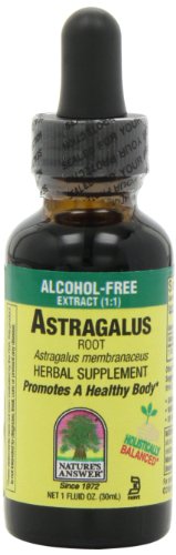 Nature's Answer Astragalus, Alcohol Free Extract 1 Fl Oz
