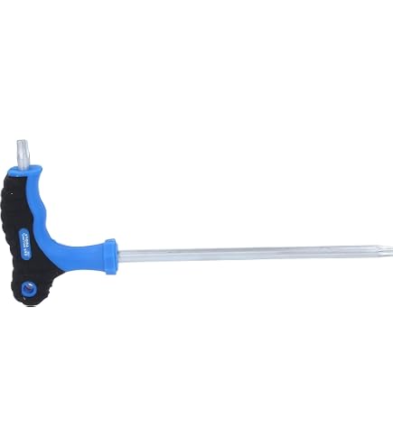 HAZET 2224-T55 EMBOUT-TOURNEVIS HEXAGONE MASSIF 5/16'' TORX INTÉRIEUR HAZET 2224-T55 EMBOUT-TOURNEVIS HEXAGONE MASSIF 5/16'' TORX INTÉRIEUR