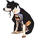 Price comparison product image Animal Pet Dog Cat Animal Batman Superhero Christmas Gift Halloween Party Fancy Dress Costume Outfit (Extra Large)