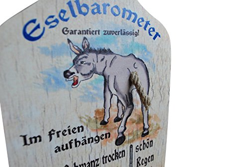 Das Esels-Barometer aus Ahornholz mit 100%iger Wetter-Vorhersage - 2