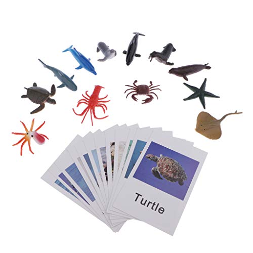 Montessori Ocean Animal Match Cards