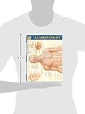 Image de Acupressure Laminated Reference Guide