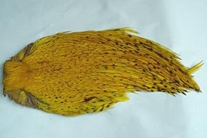 PECHETRUITE 1 x cuello de gallo indio – amarillo – 'Top quality' para montaje de moscas pesca