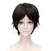 30cm Straight Party Hair Wig Anime Attack On Titan Eren Jaeger Dark brown Short Cosplay Wig