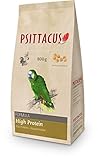 Estos productos alimenticios harán que tu mascota se sienta sana y fuerte.