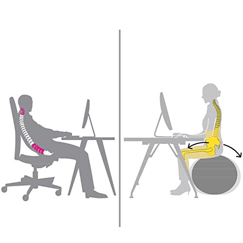 Technogym Wellness-Ball-Active Sitting - 7
