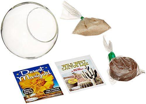Dunecraft Mini Desertscape Glass Terrarium