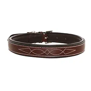 ExionPro Stitched Padded Genuine Leather Heavy Duty Dog Collar - Adjustable for Small Medium Large X-Large Male Female Dogs for Walking Running Training - Black with Oak Brown Padding