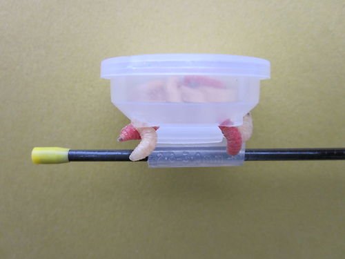 pole pots for fishing