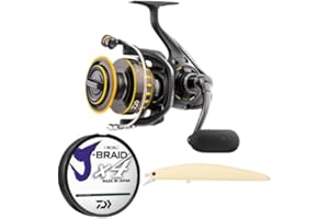 Daiwa BG Reel Kit with Braided Line and SP Minnow