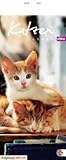 Whiskas Katzenleben 2011. Kalender: Mit Jahresübersicht 2010 by 