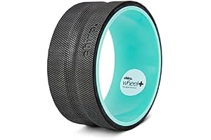 Chirp Wheel skumrulle – riktad baksida skumrulle – skräddarsydd för att underlätta obehag i nacke och rygg, djup vävnadsmuskelmassage, triggerpunkt rund design – verktyg med hög densitet för