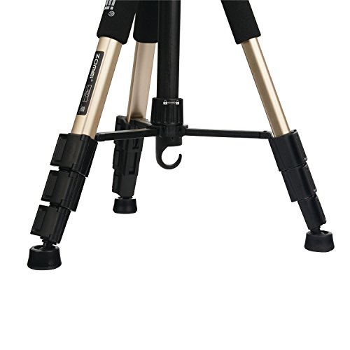 ZOMEI Q111 Tr  pied Appareil Photo Portatif L  ger Professionnel en Aluminium avec un sac de transport et D  gagement Rapide 1 4  pour Canon   Nikon   Sony et autres Reflex Num  riques Or 