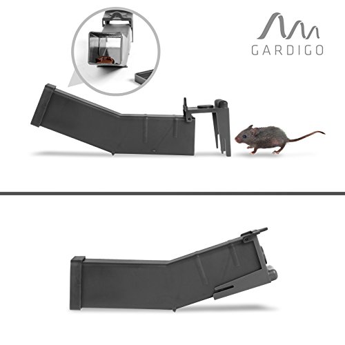 Gardigo Maus-Wipp-Falle 4er Set Lebendmausefalle Wippfunktion, Mausefalle, Lebendfalle, Mäusefalle - 5